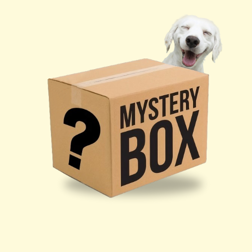 Mystery Digital Dog Box