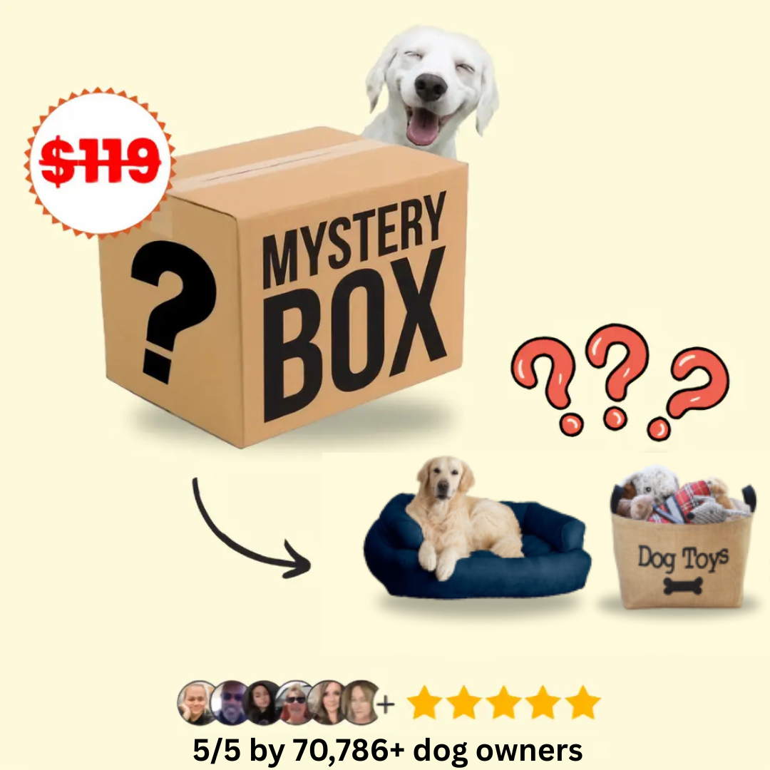 Mystery Dog Box
