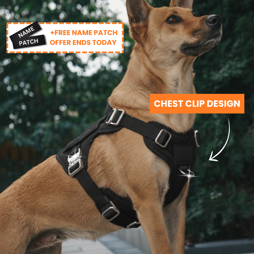 PupSafe® No-Pull Dog Harness (50% OFF)