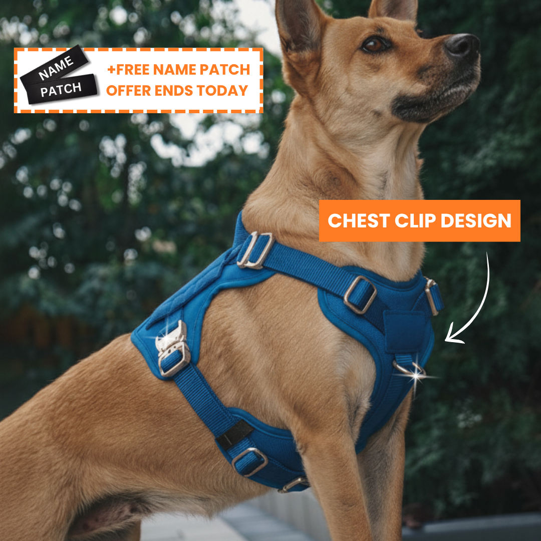PupSafe® No-Pull Dog Harness (50% OFF)