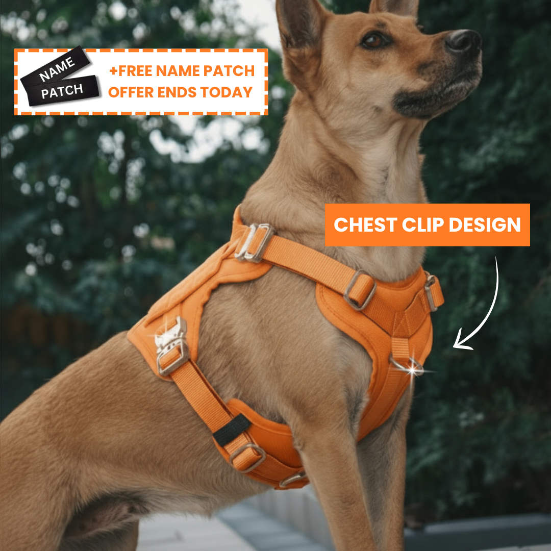 PupSafe® No-Pull Dog Harness (50% OFF)