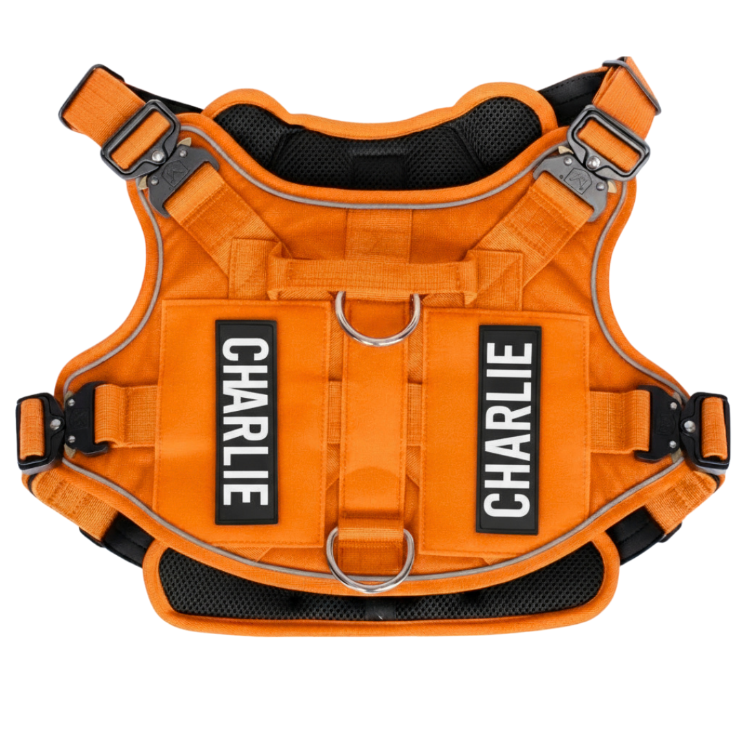 PupSafe® No-Pull Dog Harness (50% OFF)