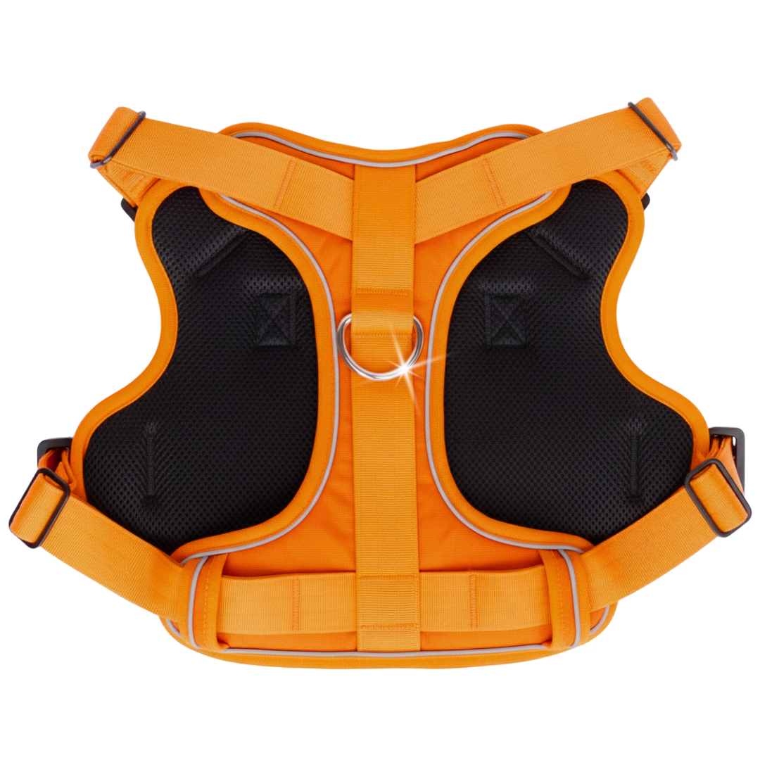 PupSafe® No-Pull Dog Harness (50% OFF)