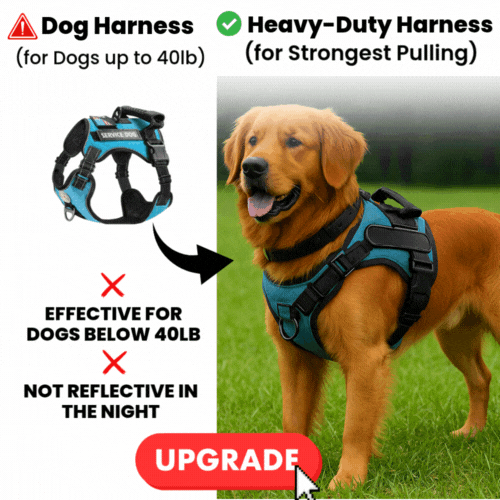 Upgrade To Heavy-Duty No-Pull Harness! (One-Time Offer)