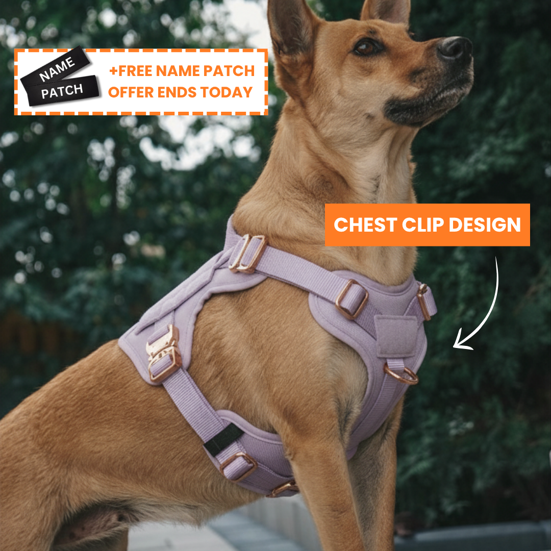 PupSafe® No-Pull Dog Harness (50% OFF)