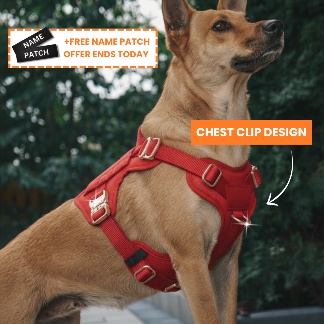 PupSafe® No-Pull Dog Harness (50% OFF)