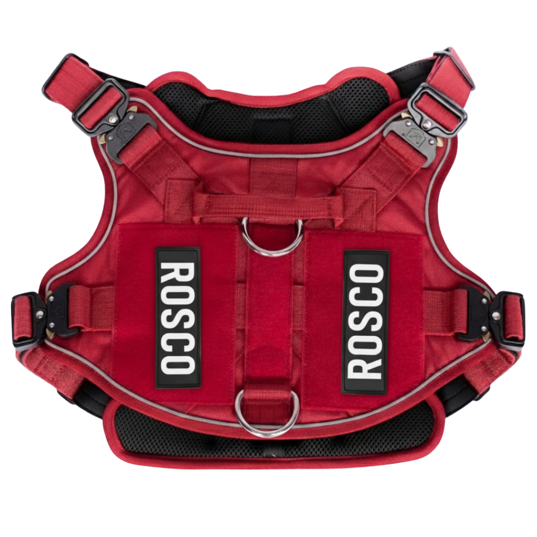 PupSafe® No-Pull Dog Harness (50% OFF)